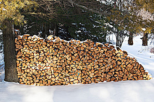 木堆,靠近,皮克顿,王子,安大略省,加拿大