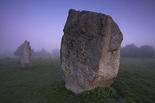 英格兰,威尔特,大,立石,形态,一个,石头,圆,围绕,黎明