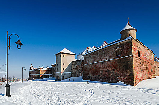 背面视角,城堡,布拉索夫,罗马尼亚