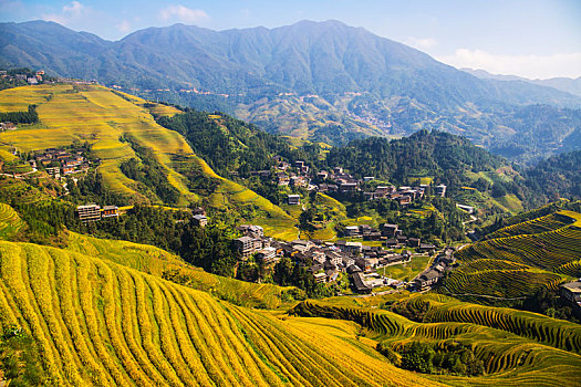 中国广西桂林龙脊梯田日照美景