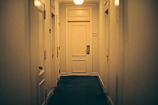 走廊,曼哈顿,酒店