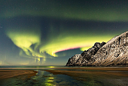 沙滩,雪,顶峰,框架,北极光,极地,夜晚,挪威,欧洲