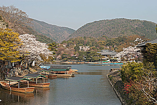 河,岚山,京都,日本