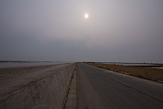 东营黄河入海口湿地