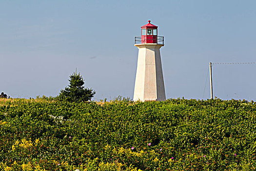 灯塔,爱德华王子岛,加拿大