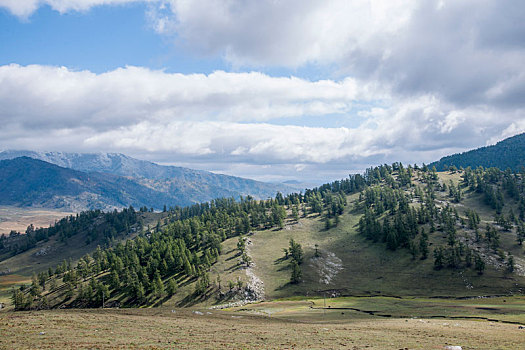 新疆布尔津县喀纳斯国家地质公园山谷草原