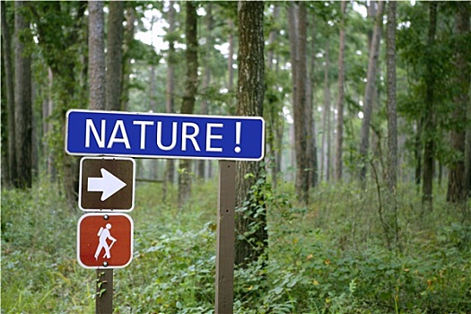 蓝色,交通标志,自然,信息,绿色,树林