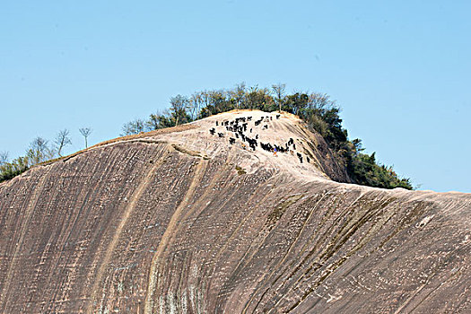 山,丹霞,驴友,黑山羊,放牧,蓝天,篱笆,栅栏,旅行,地质公园,丹霞地貌,灌木,树,草,水潭,素材,平面设计,质感