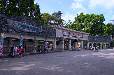 廣州動物園圖片
