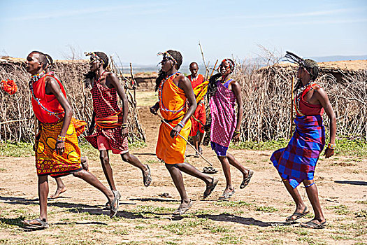 马赛马拉,肯尼亚,马萨伊勇士,跳舞,传统,跳跃,文化,典礼,察看,日常生活,本地居民,靠近,马赛马拉国家公园,自然保护区