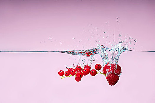 树莓,红醋栗,落下,水