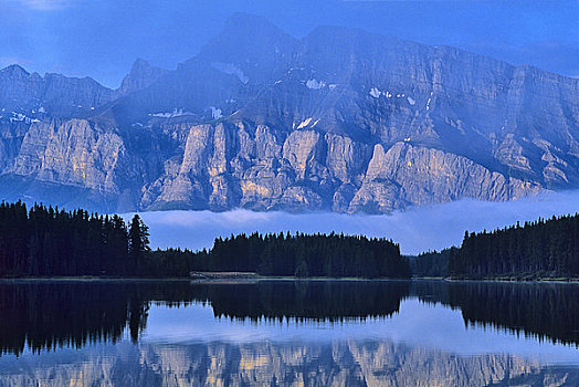 反射,树,湖,伦多山,加拿大,班夫国家公园,班芙国家公园,艾伯塔省
