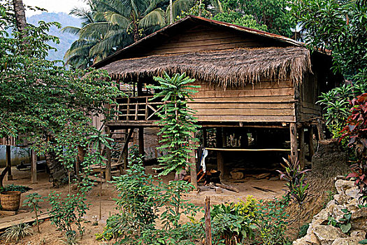 老挝,琅勃拉邦,省,乡村,高脚屋