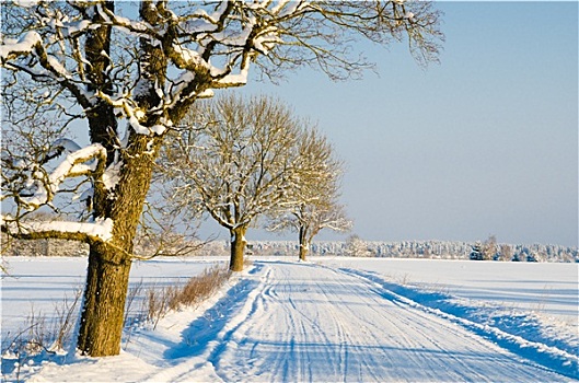 冬天,道路,乡村,漂亮,白天