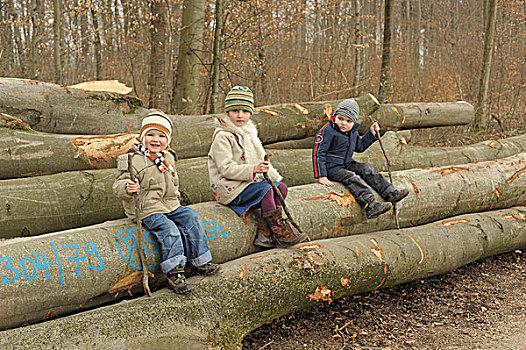 孩子,岁月,坐,棍,树,树干,树林