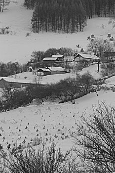 雪村松岭