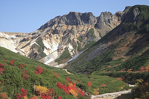 秋叶,山,温泉,国家公园