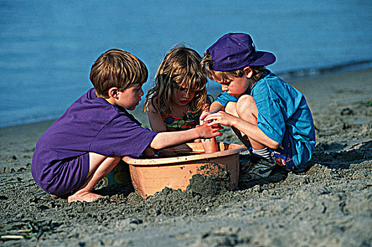 三个孩子,检查,海洋生物,海滩,温哥华岛,不列颠哥伦比亚省,加拿大