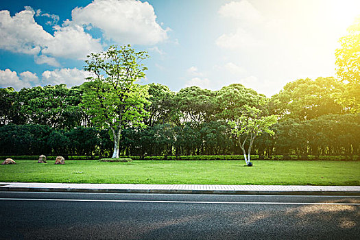 公路俄罗斯森林