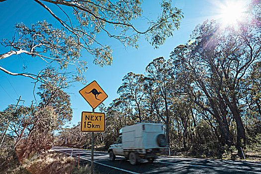 袋鼠,警告,路标,新南威尔士,澳大利亚