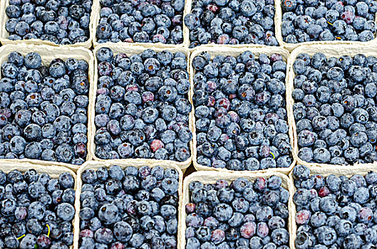 新鲜,收获,蓝莓,越桔,市场,布赖施高,巴登符腾堡,德国,欧洲