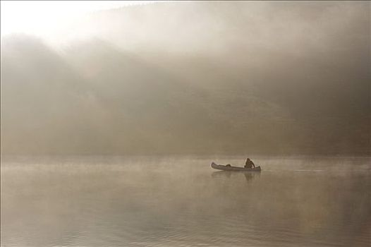 漂流,早晨,薄雾