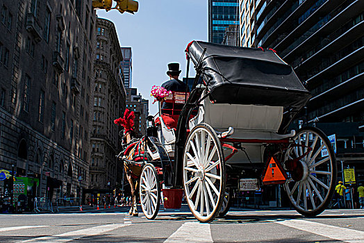 马车,骑,第6大街,曼哈顿