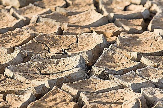 缝隙,泥,干燥,季节,焦奇,国家公园,塞内加尔,非洲