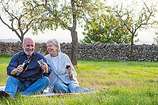 老年,夫妻,户外,坐,毯子,享受,葡萄酒杯