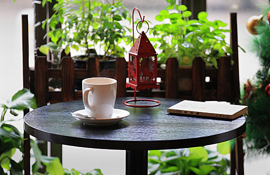 咖啡杯,书,桌子,绿植,阳光