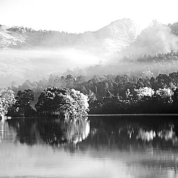 斯威士兰,保护区,湖,靠近,树,雾