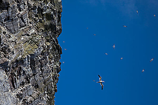 蓝天,旁侧,石头,悬崖,苏格兰