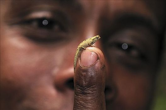 手指,国家公园,马达加斯加