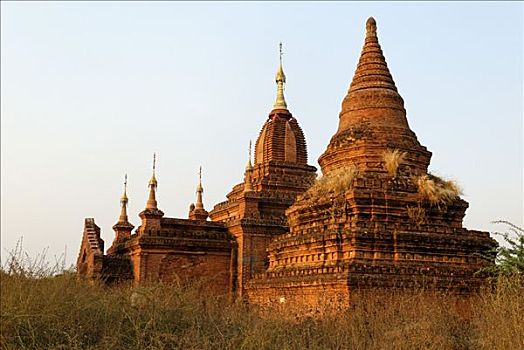 荒芜,庙宇,蒲甘,异教,缅甸