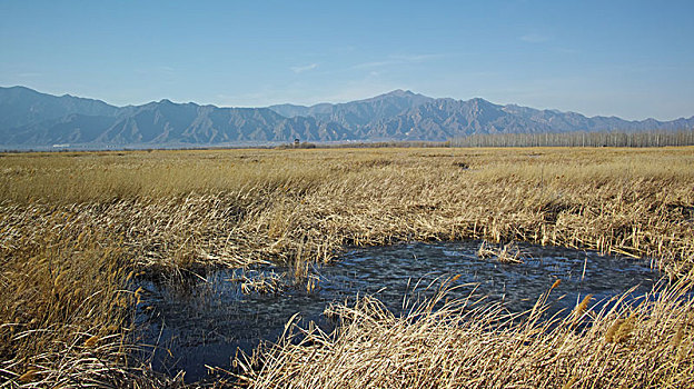 野鸭湖