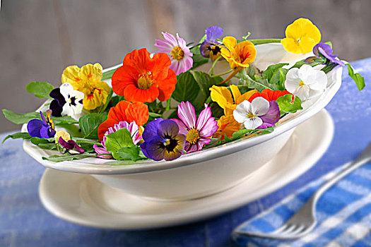 食用花卉,三色堇,天宇,旱金莲