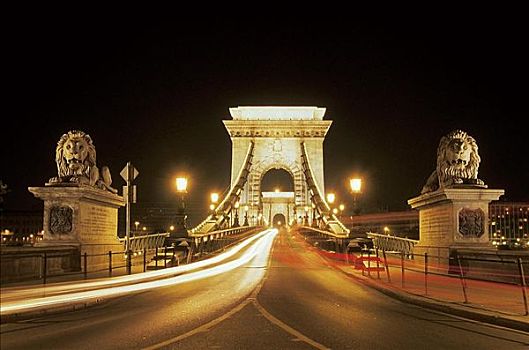 建筑,链索桥,夜晚,光亮,多瑙河,布达佩斯,匈牙利,欧洲,欧盟新成员