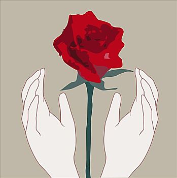 手,玫瑰