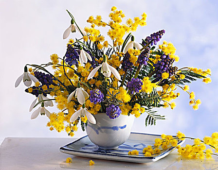 黄色,紫花,瓷器,器具
