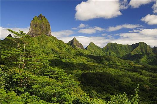 山峰,茉莉亚岛,法属玻利尼西亚