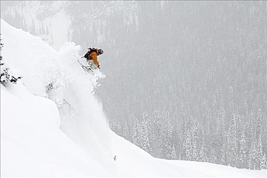 男人,滑雪,不列颠哥伦比亚省,加拿大