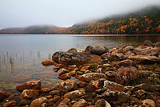 美国,缅因,阿卡迪亚国家公园,雾,秋天,水塘