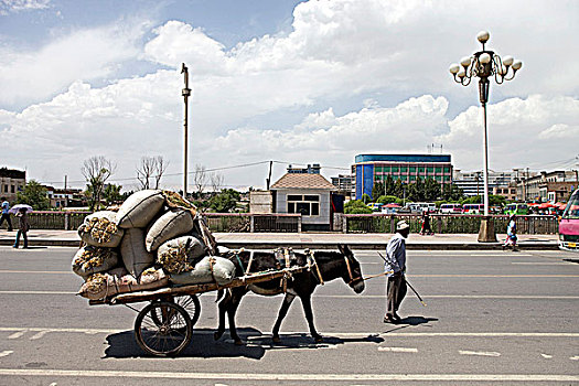 驴,手推车,老城,喀什葛尔,新疆,维吾尔,地区,丝绸之路,中国