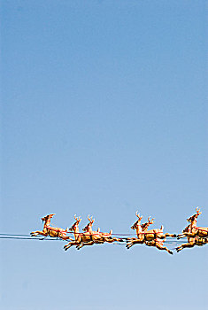 圣诞节,驯鹿,腾跃,蓝色,天空