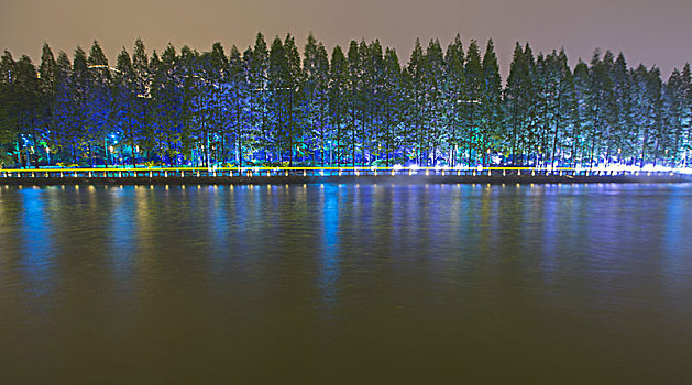 杭州一公园夜景