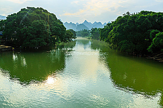 阳光下的江景,古榕树