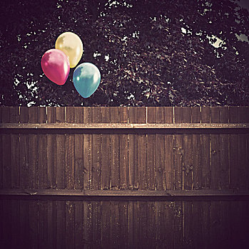 三个,气球,漂浮,高处,木篱,树,背景,南,东方,伦敦,英国