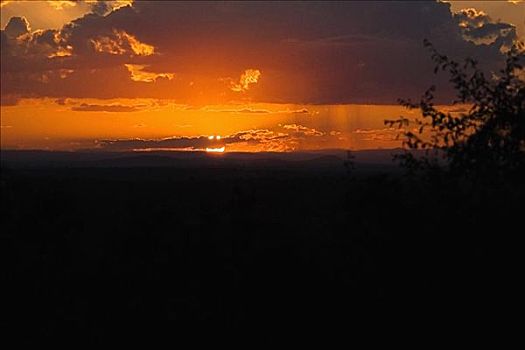 日落,上方,风景,克鲁格国家公园,南非