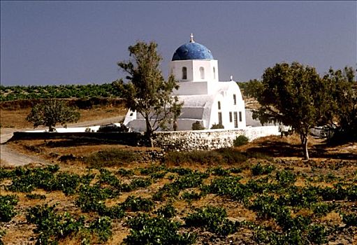 教堂,葡萄园,锡拉岛,希腊
