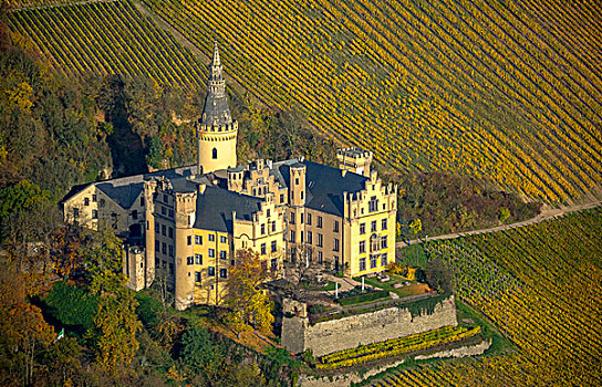 城堡,葡萄园,秋天,坏,莱茵兰普法尔茨州,德国,欧洲